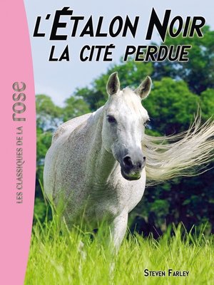 cover image of L'Étalon Noir 20--La cité perdue